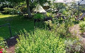 Indian Tent Tipi In Shared Lot And Shared Bathroom