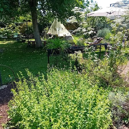 Indian Tent Tipi In Shared Lot And Shared Bathroom Mrse Extérieur photo