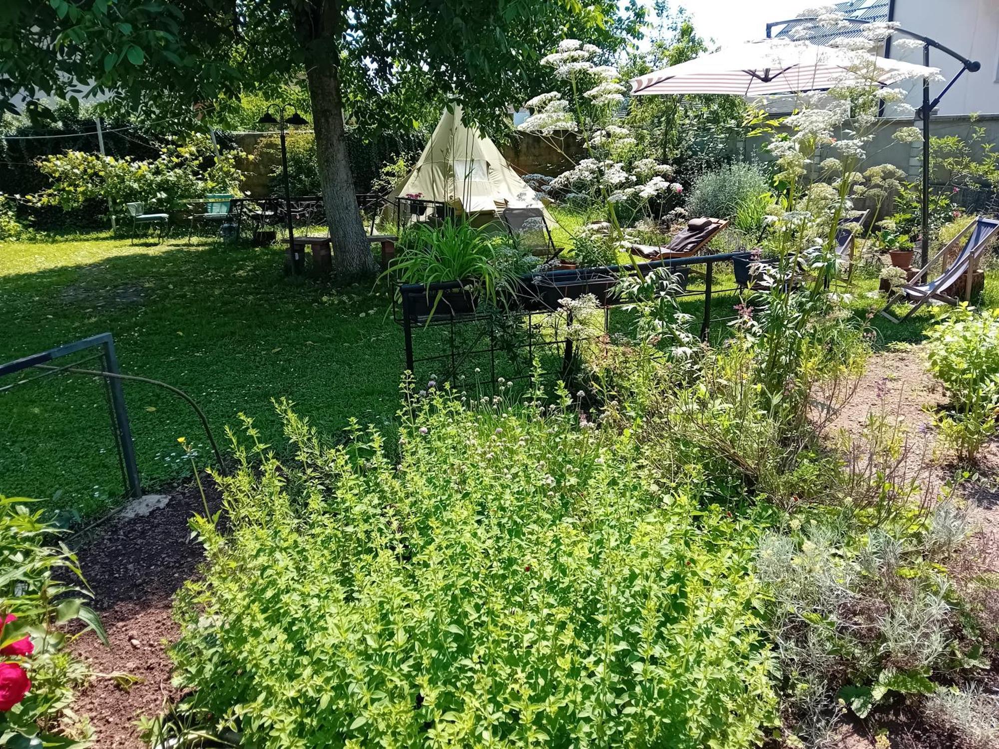 Indian Tent Tipi In Shared Lot And Shared Bathroom Mrse Extérieur photo